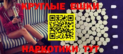 spice Гатчина