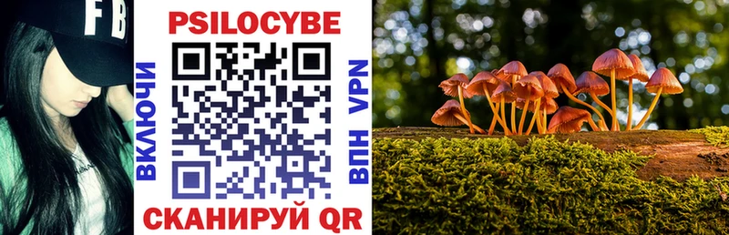 купить   Новодвинск  Галлюциногенные грибы мицелий 