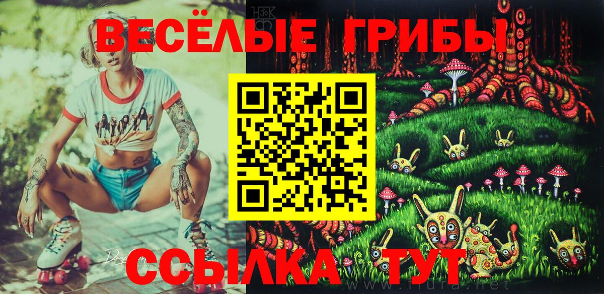 Псилоцибиновые грибы прущие грибы Новодвинск