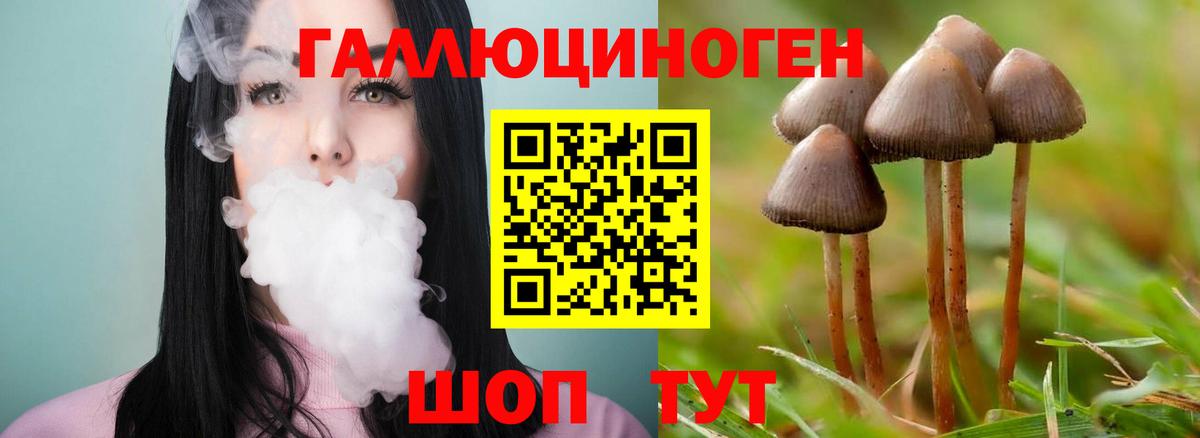 Псилоцибиновые грибы Psilocybe  Вход с VPN  Новодвинск 
